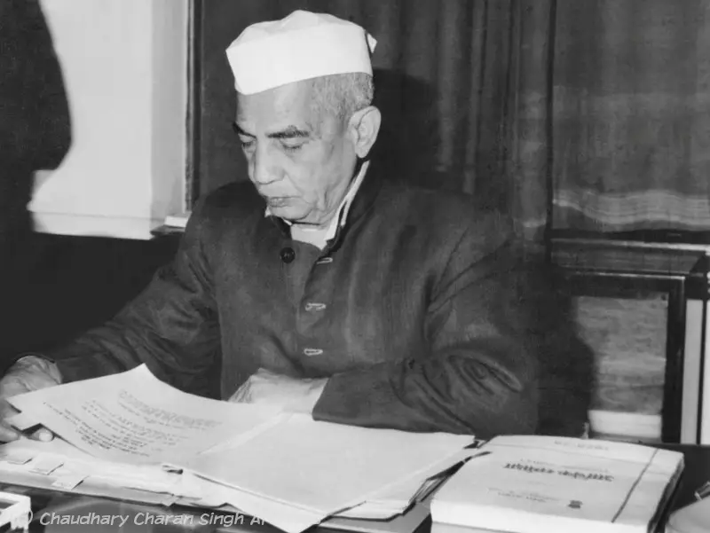 charan_singh_slide_12_alt